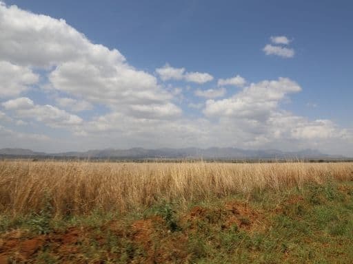 A scenic landscape view of Kidepo Valley National Park.