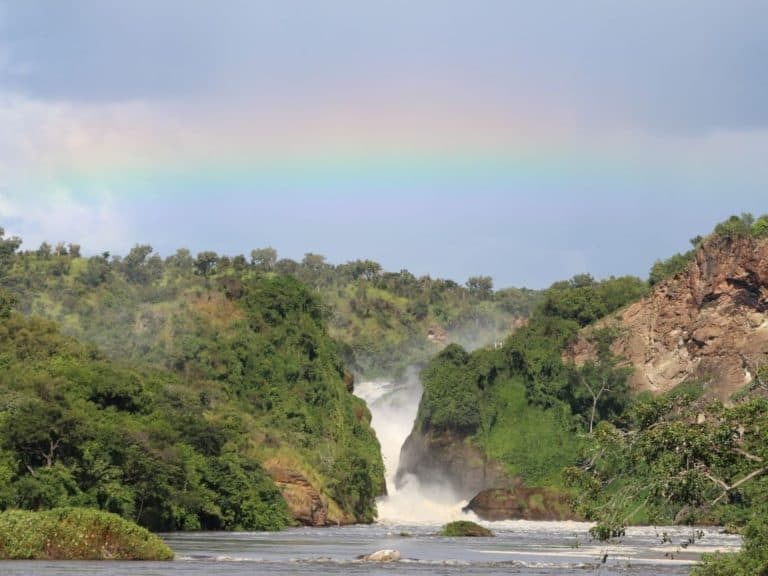 Murchison Falls National Park, Uganda: Everything You NEED To Know