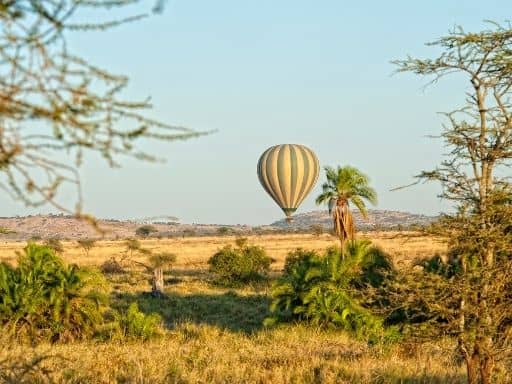 Taking a hot air balloon ride over Murchison Falls National Park is a breathtaking experience.
