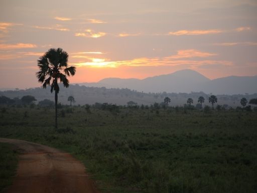 A colorful sunset over the mountain range surrounding Kidepo Valley National Park.